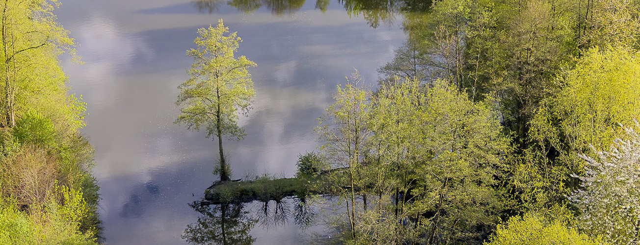 Ausblick